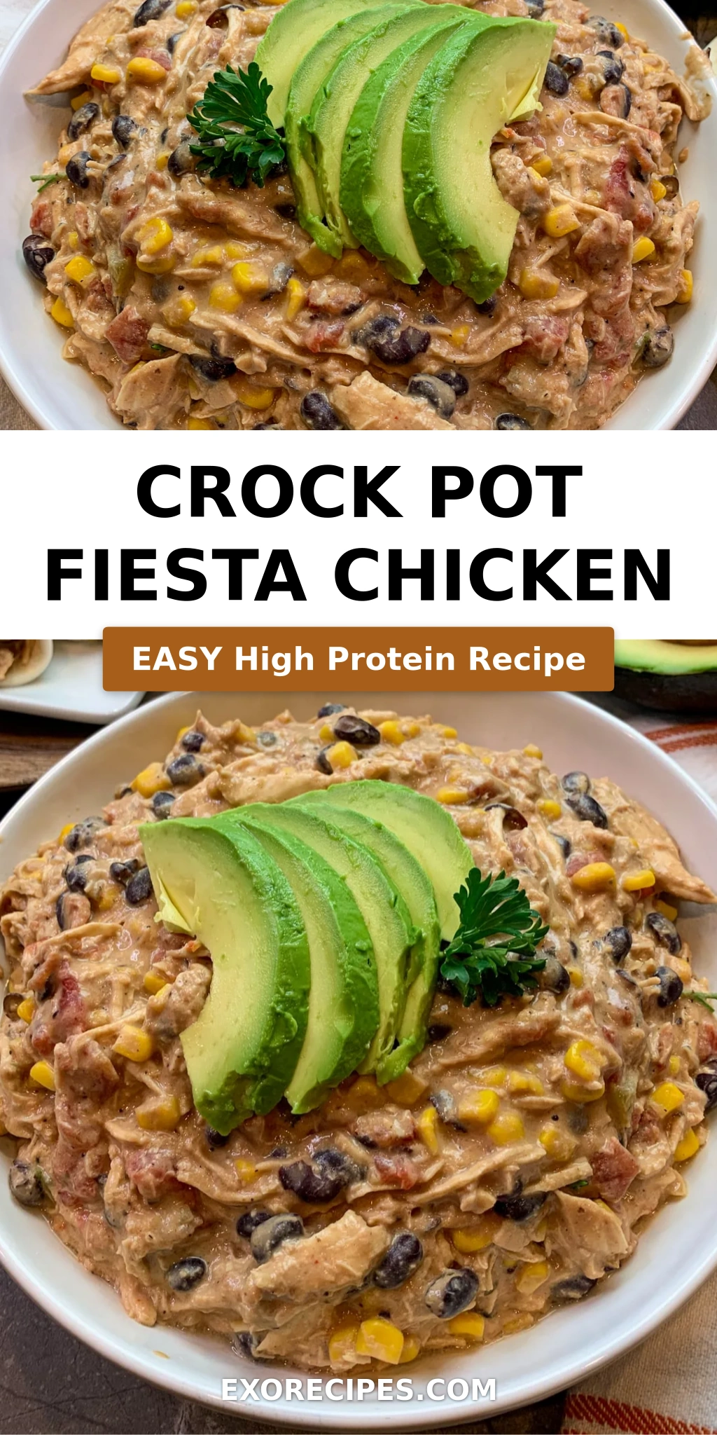 Crock Pot Fiesta Chicken