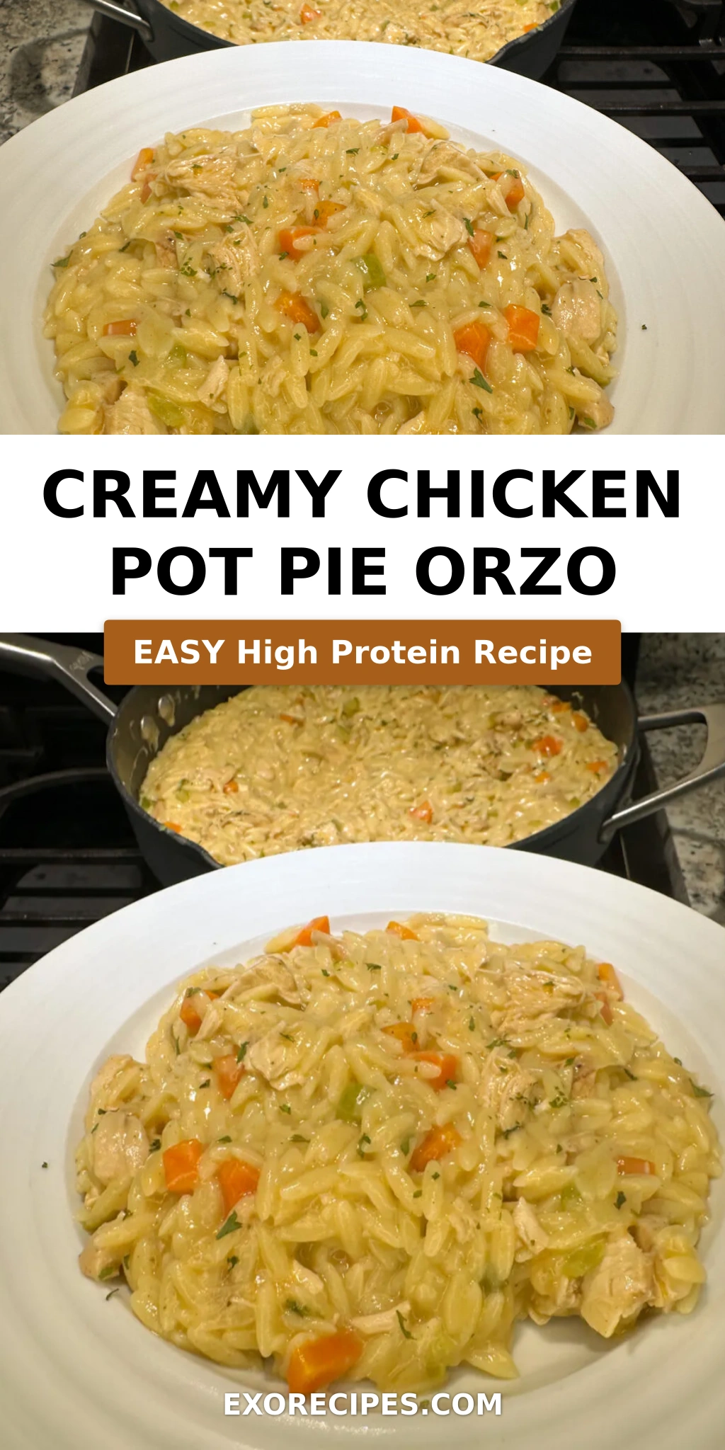 Creamy Chicken Pot Pie Orzo