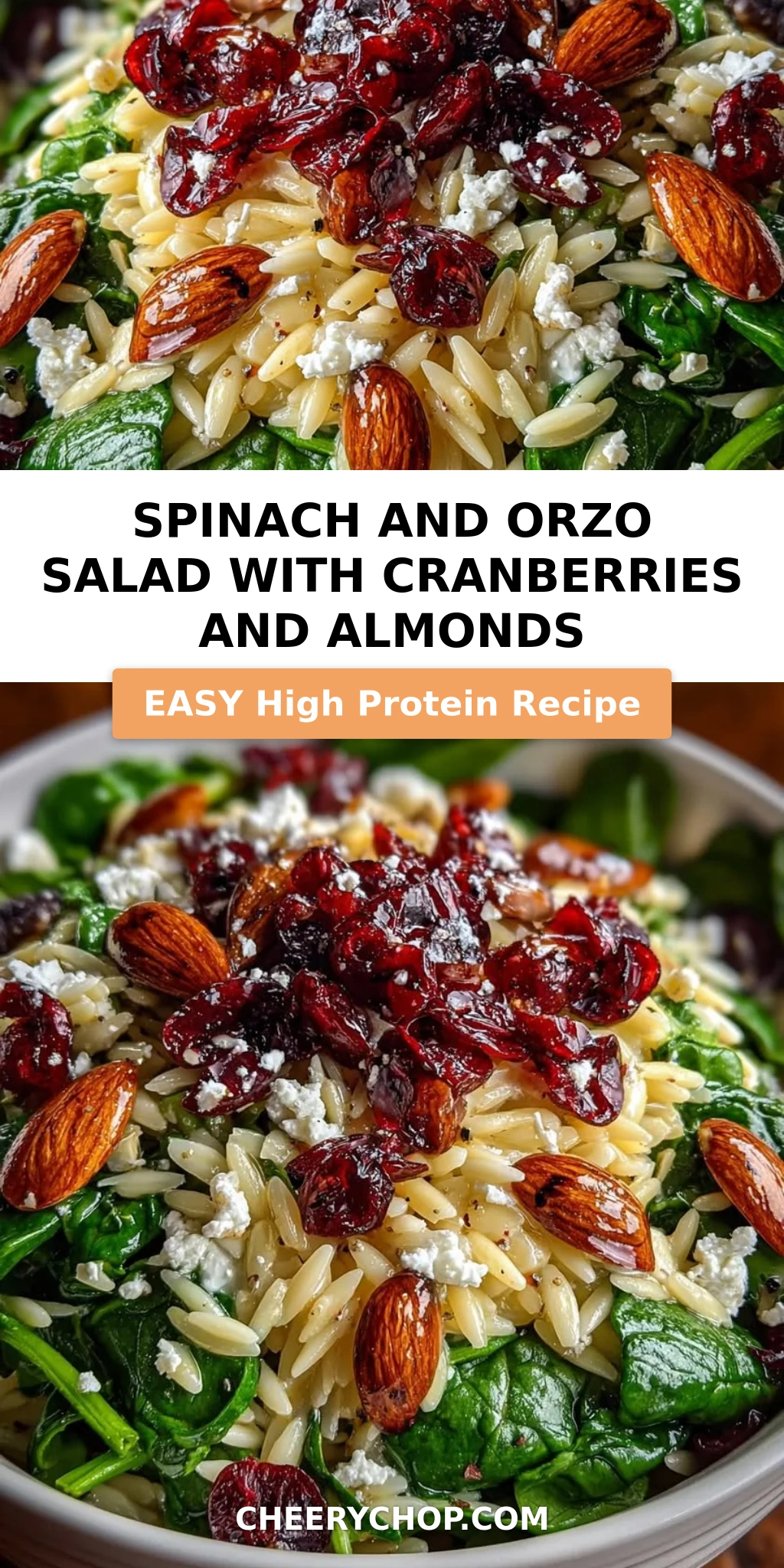 Spinach and Orzo Salad with Cranberries and Almonds