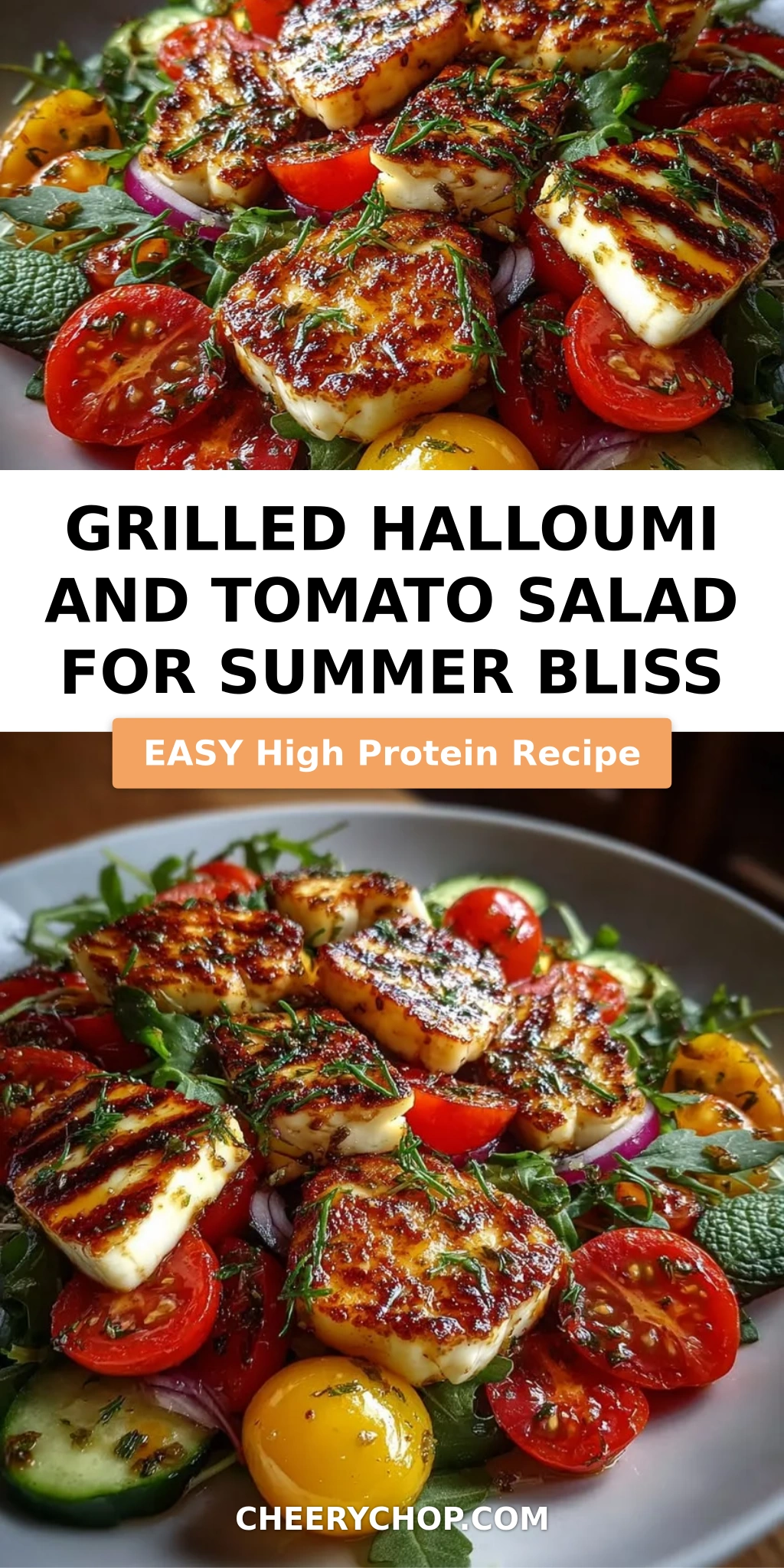 Grilled Halloumi and Tomato Salad for Summer Bliss