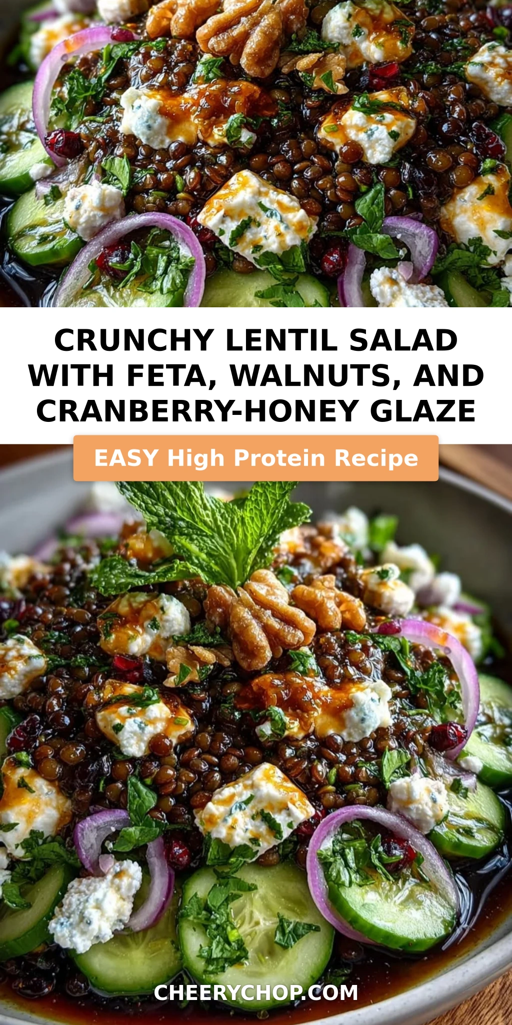 Crunchy Lentil Salad with Feta, Walnuts, and Cranberry-Honey Glaze