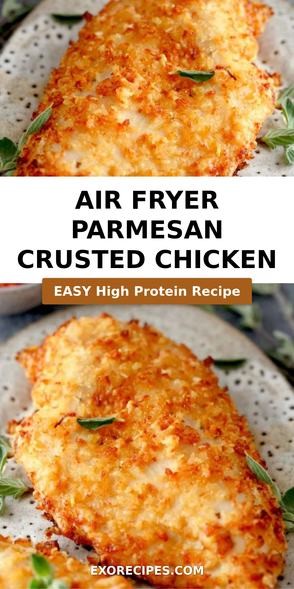 Air Fryer Parmesan Crusted Chicken