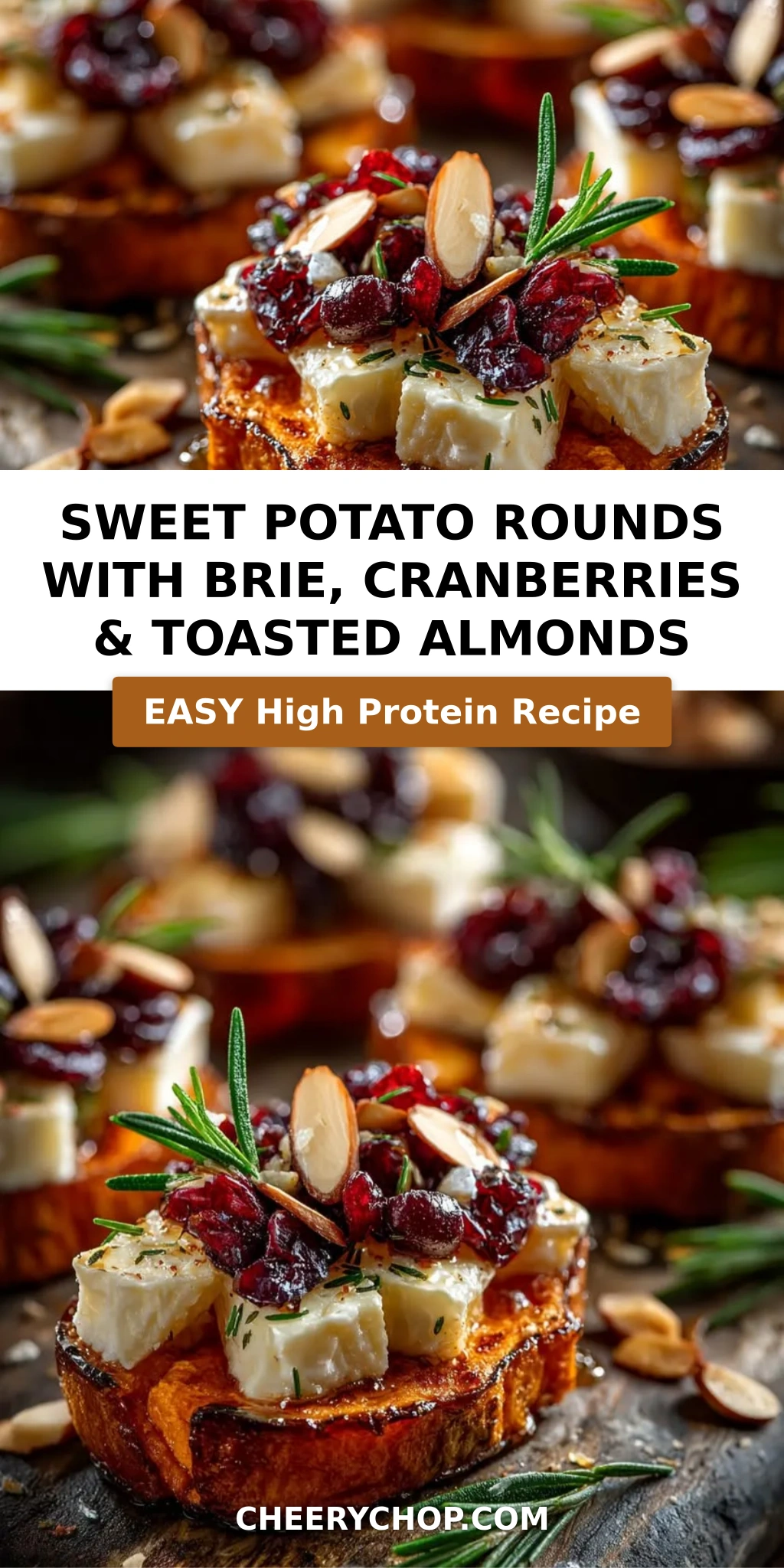 Sweet Potato Rounds with Brie, Cranberries & Toasted Almonds