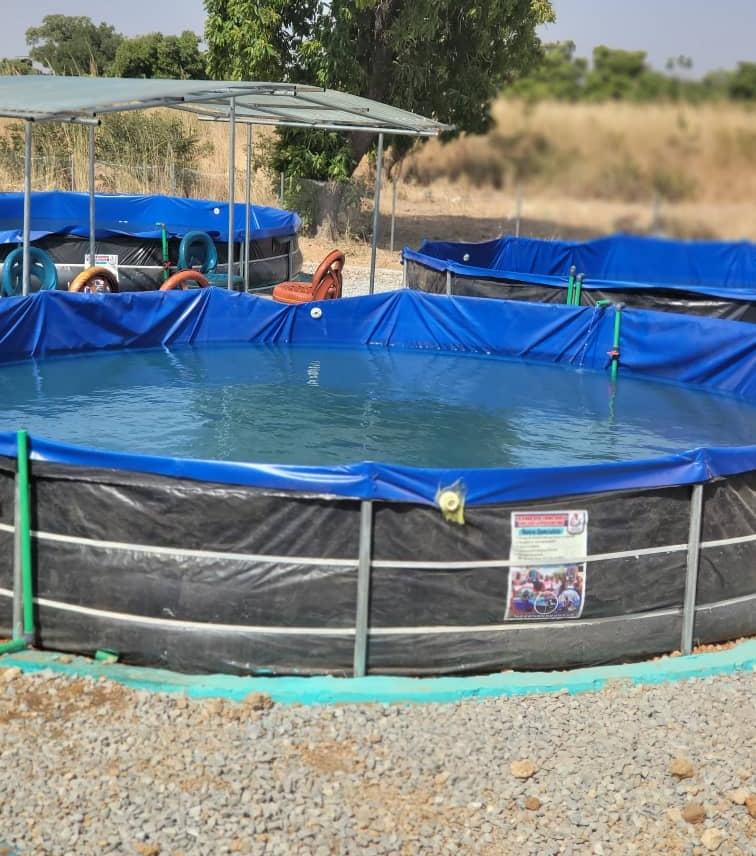 Bassin de pisciculture