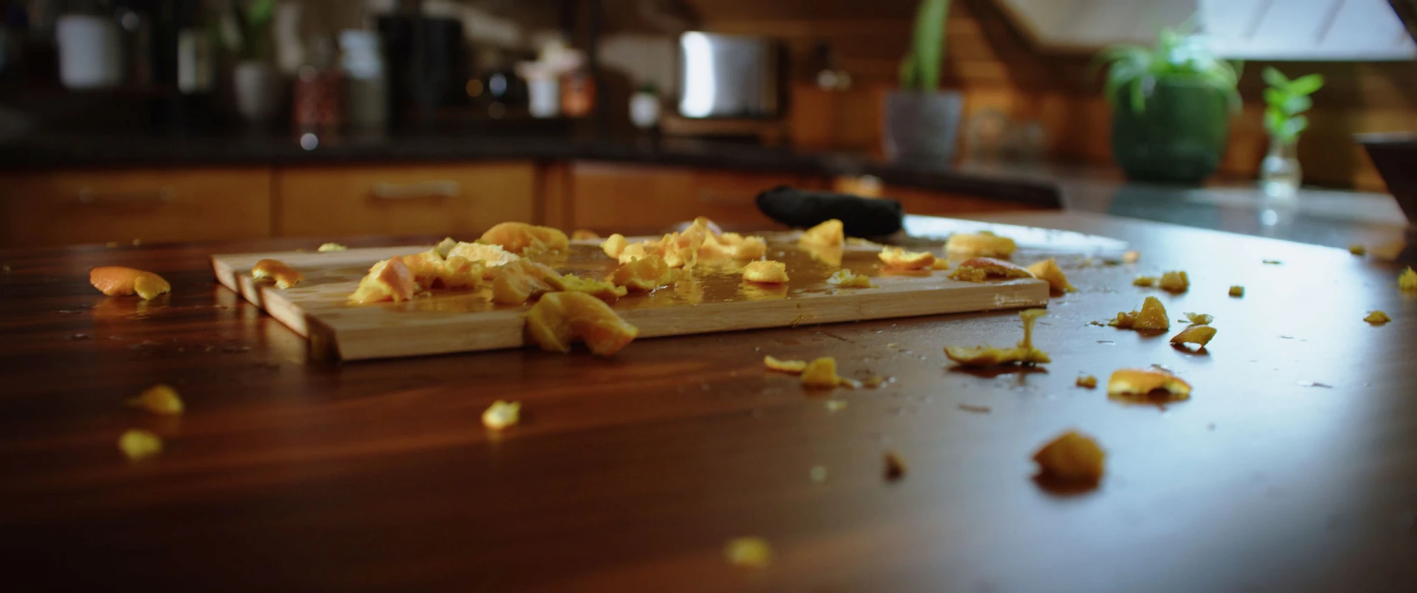 Orange Bloom gallery image 2