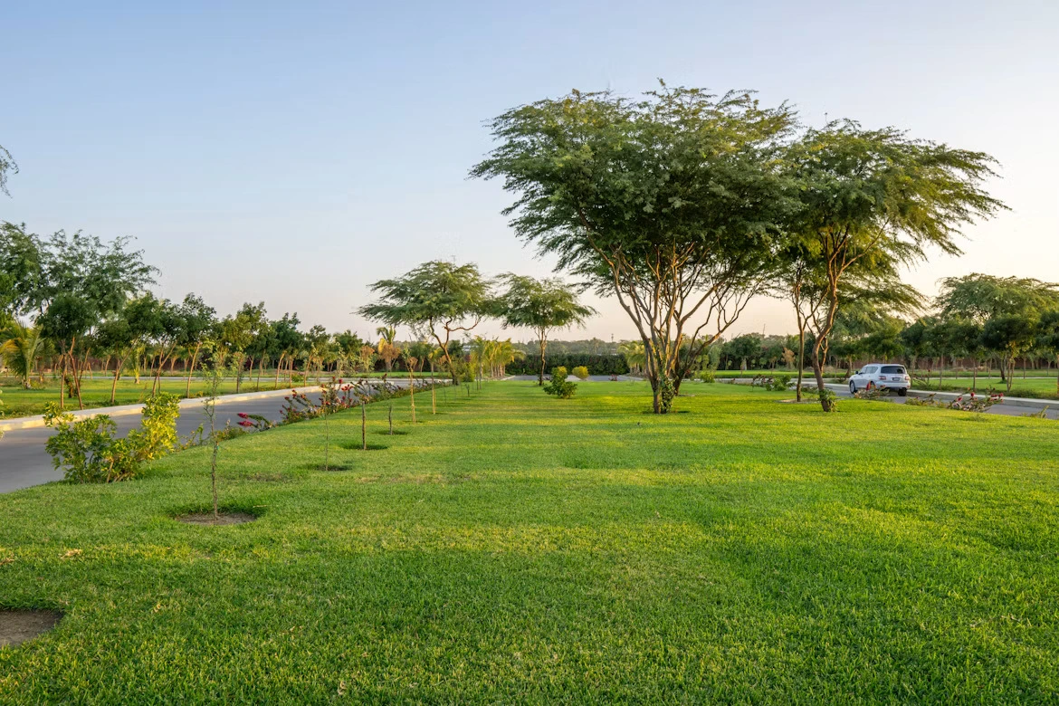 Evara Greens in Gurgaon: Location, Plot Sizes, Price & Investment Guide