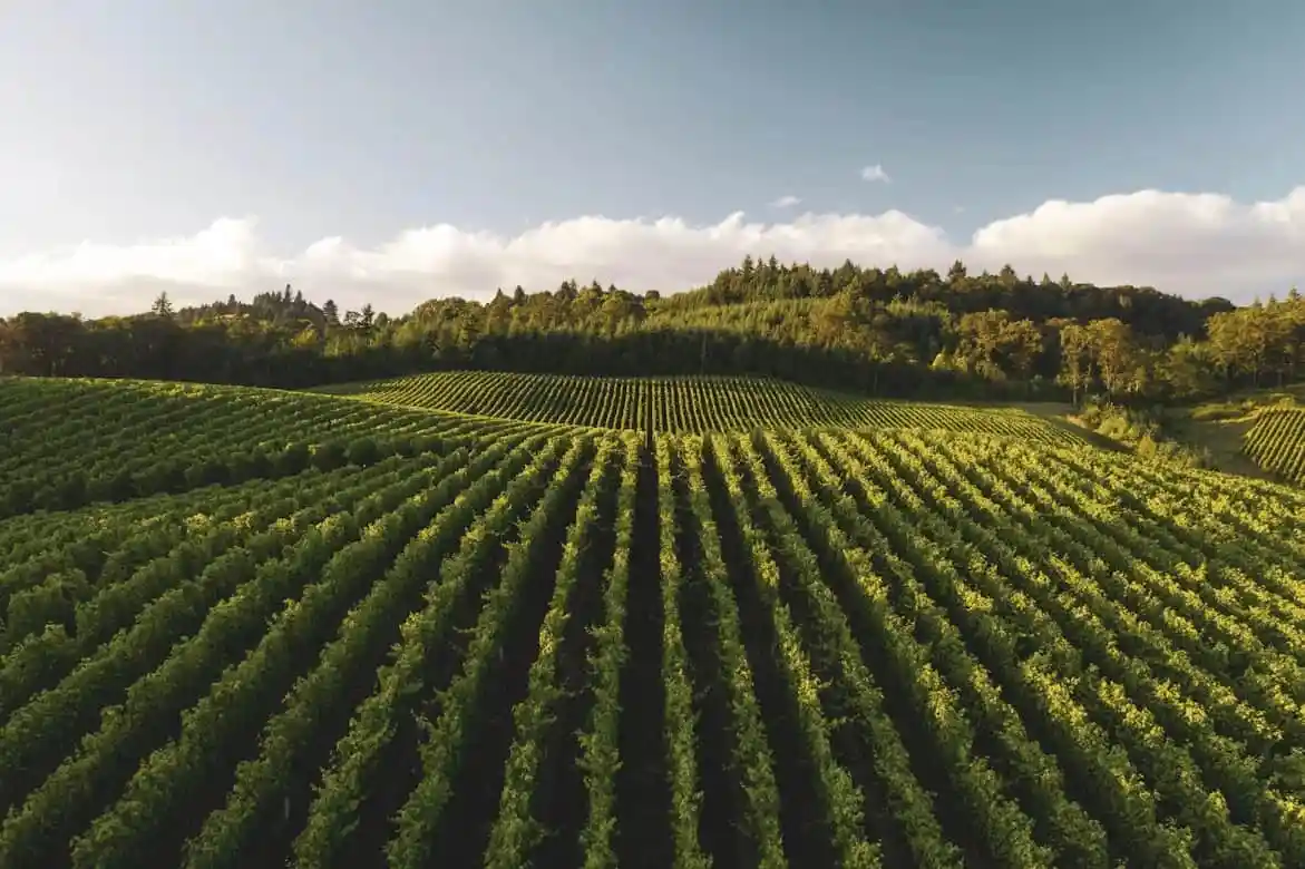 Panchtatva Farms Location Guide: Connectivity, Nearby Areas & Key Highlights