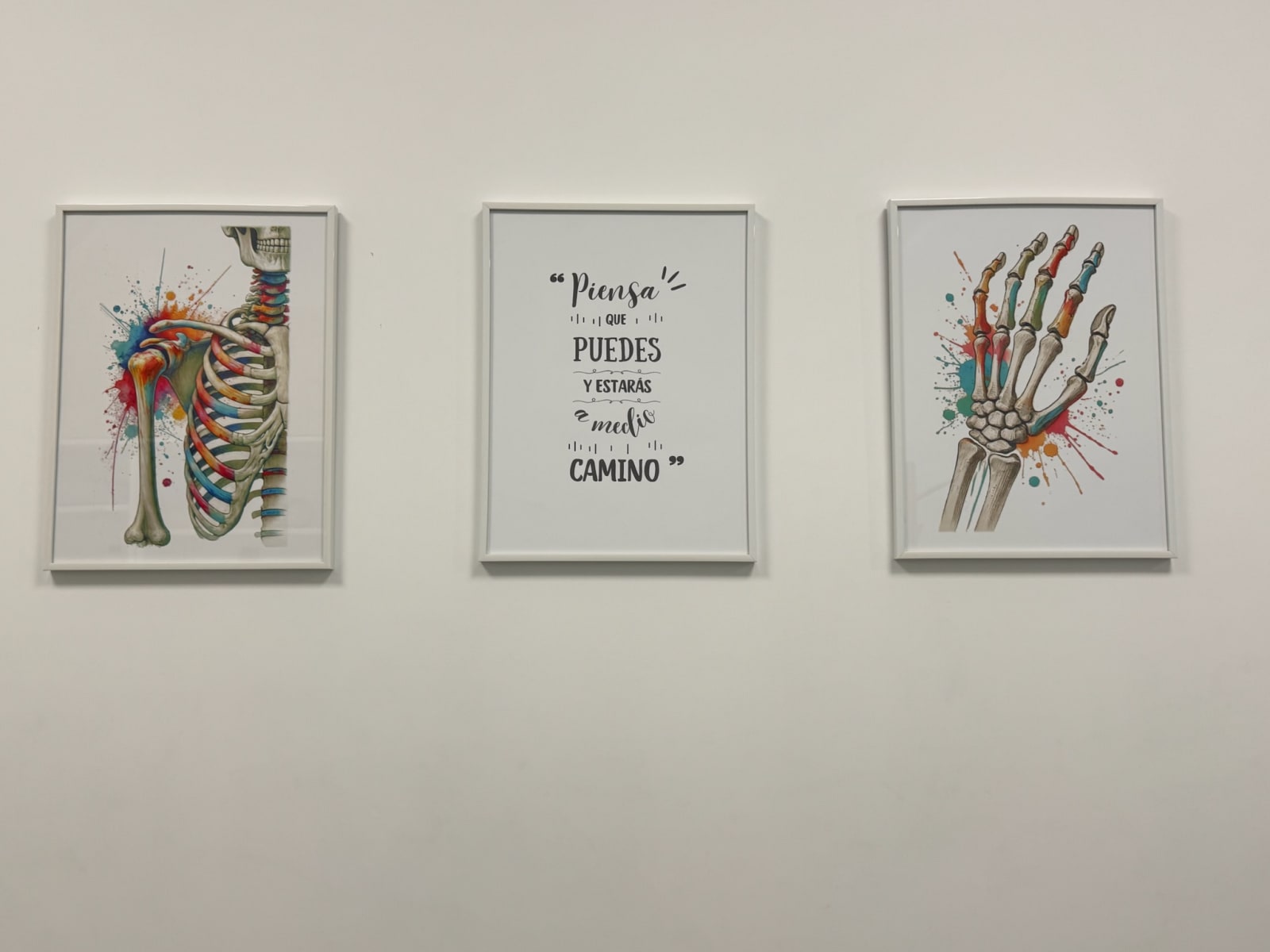 Láminas anatómicas y frase motivadora que decoran la clínica LSP Fisioterapia de Rivas