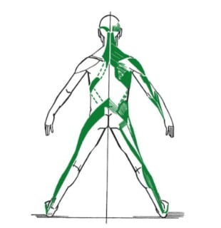 Diagrama de la Cadena Posterolateral (PL) del método GDS
