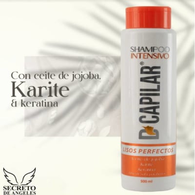 Shampoo Lisos Perfectos — envío a toda Colombia