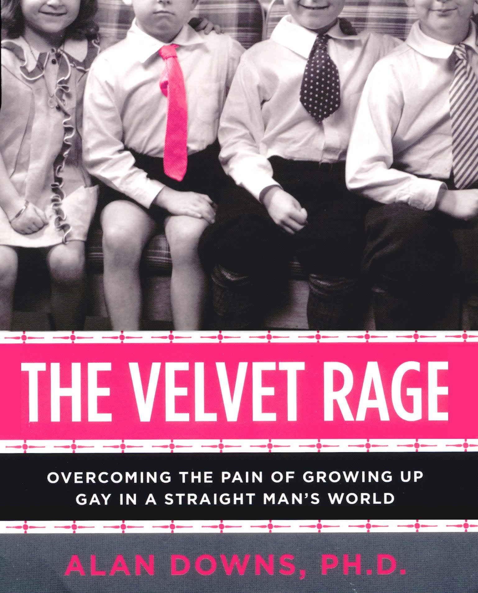 Velvet Rage book cover