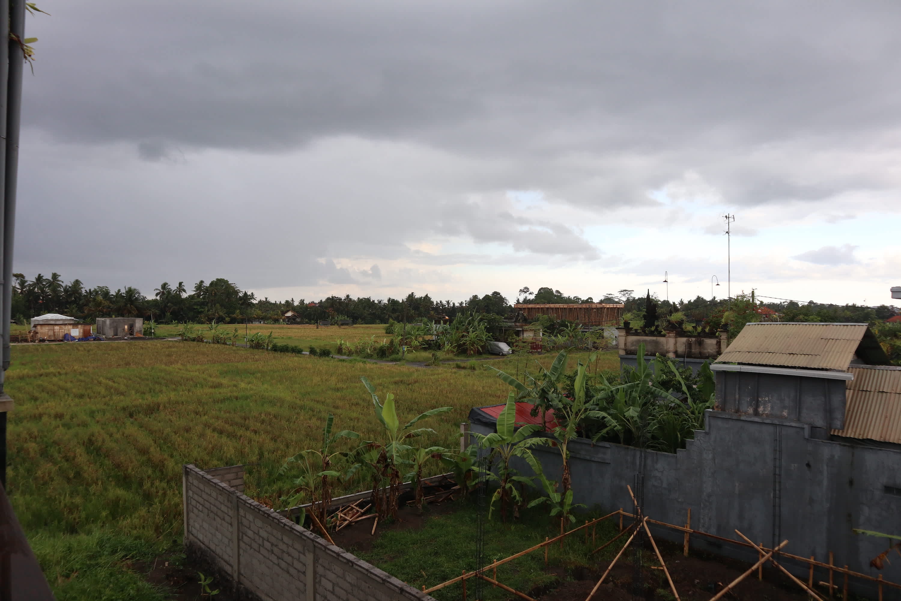 rain on the rice paddies in Bali