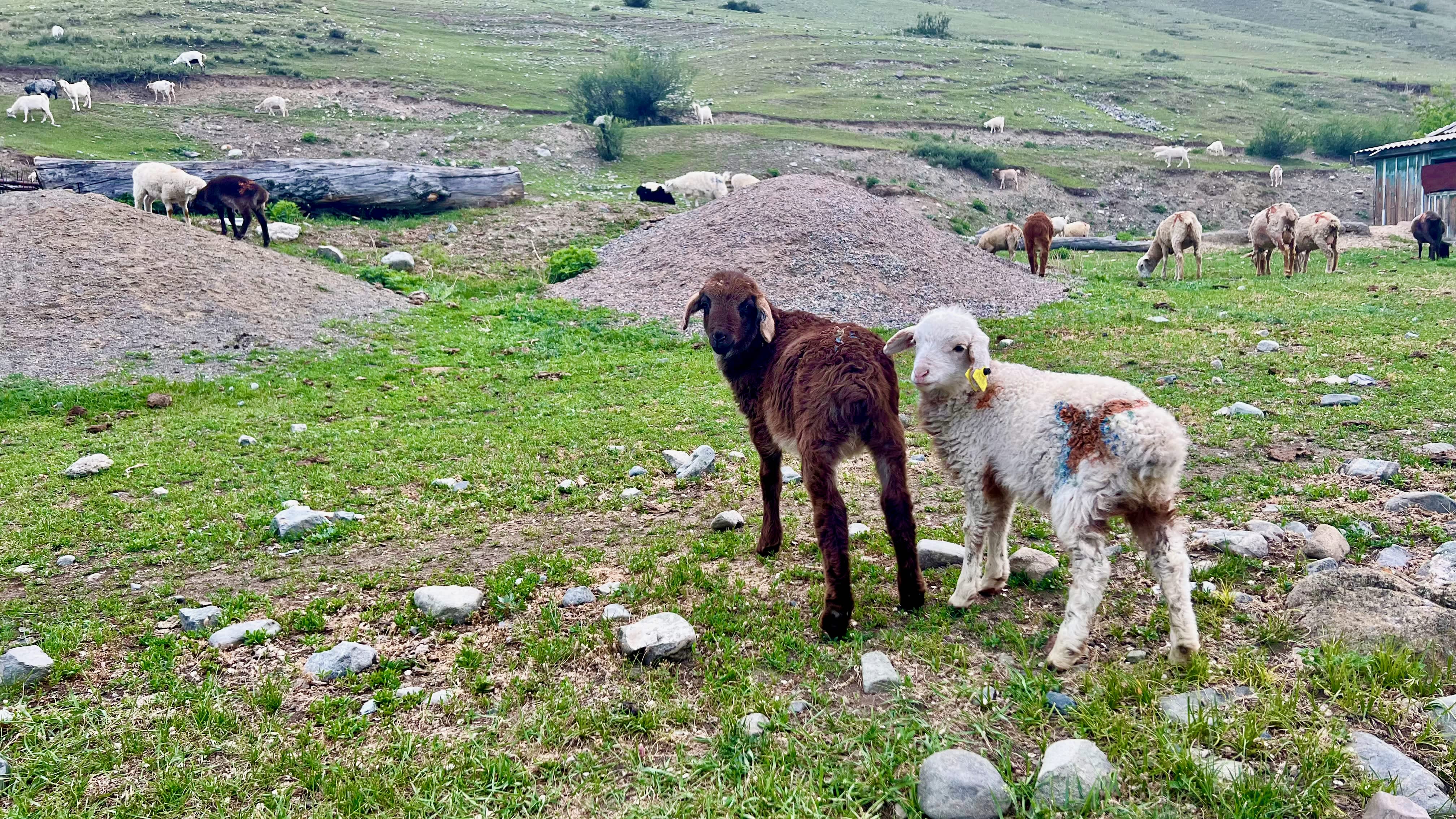 Travel in Kazakhstan: Road Trip to Kolsai Lakes and Charyn Canyon