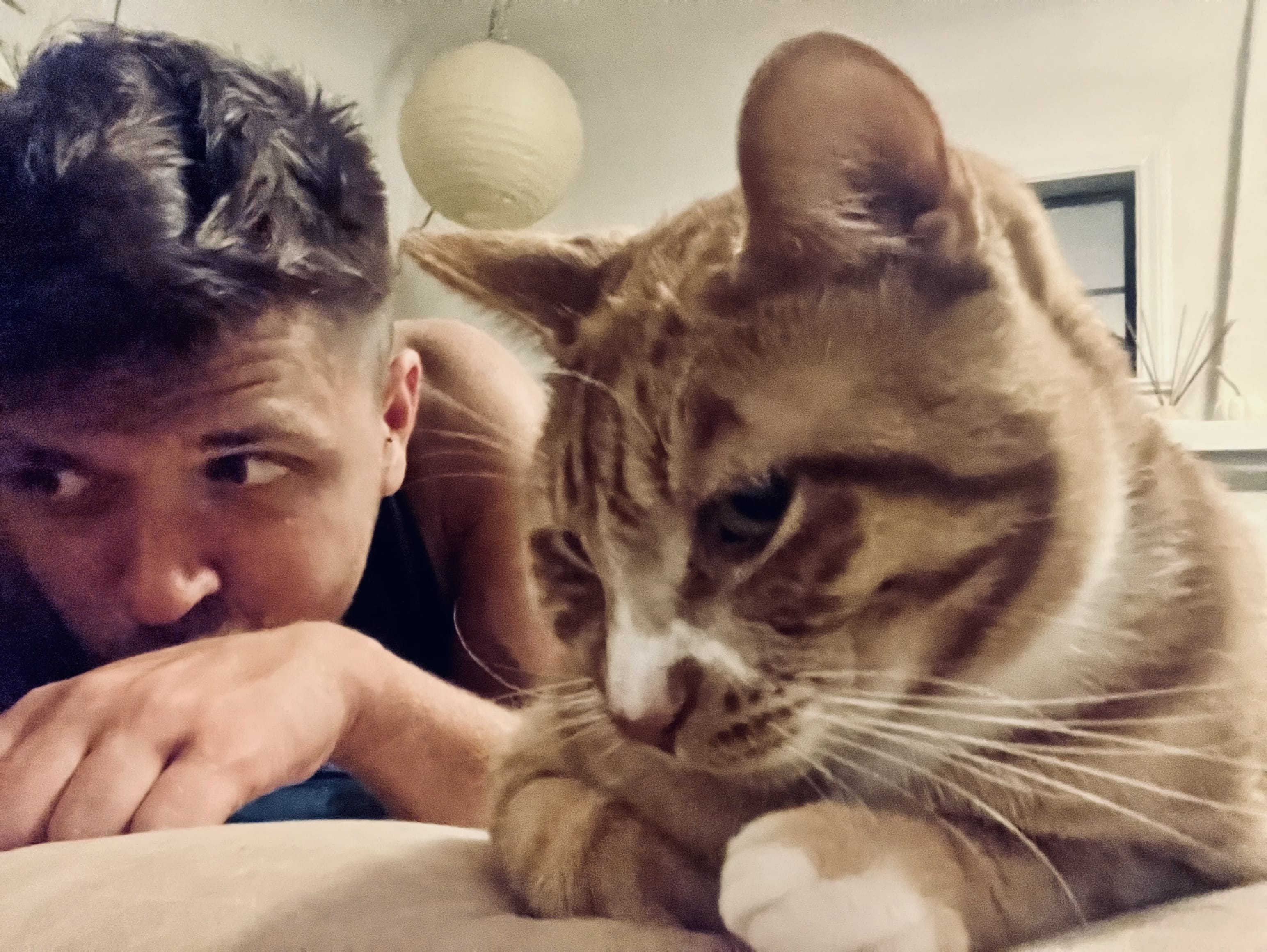 cute pics with animals 2