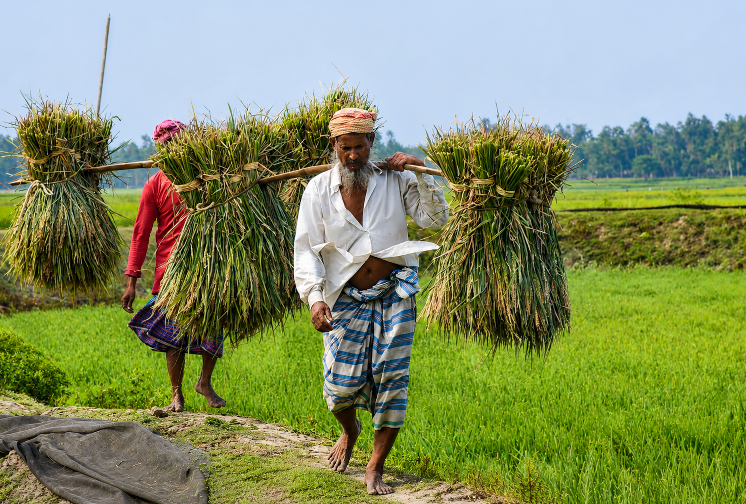 Village Homestay & Farming Tour