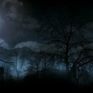 night-moon-broken-trees