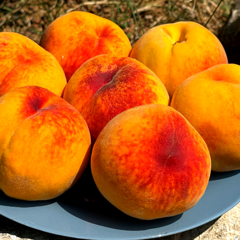 Освежающий