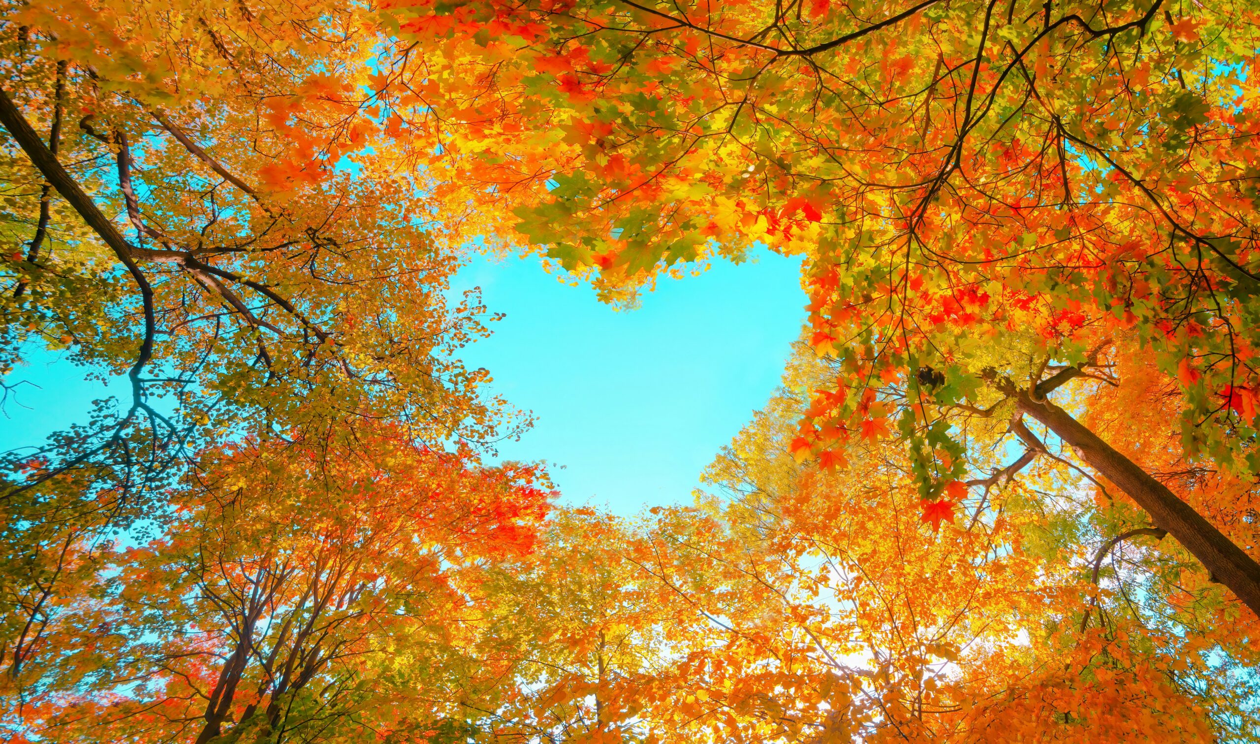 Community Weekend — Fall Equinox, September 2026