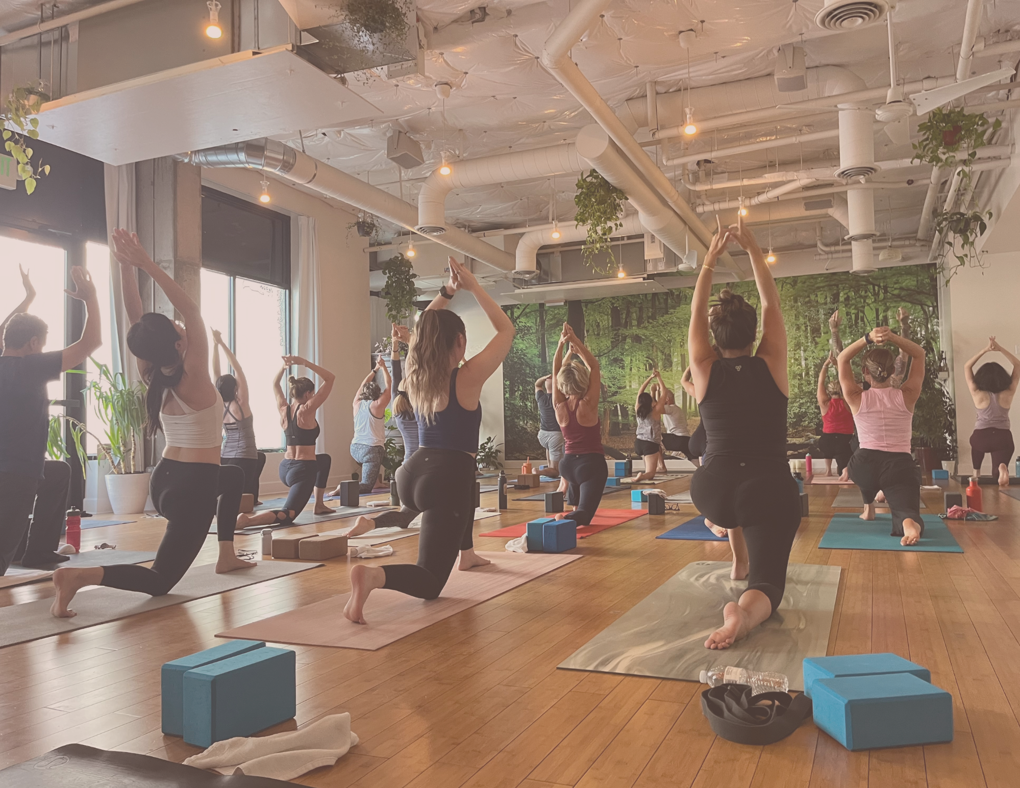 Arise Yoga studio in Kirkland, Washington