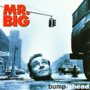 Bump Ahead Cover