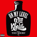 On my level Cover
