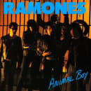 Animal Boy Cover