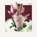 Bloom Cover