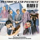 Penthouse And Pavement Cover
