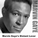 Distant Lover Cover