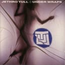Under Wraps Cover