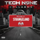 Welcome To Strangeland Cover