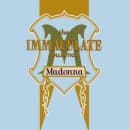 The Immaculate Collection Cover