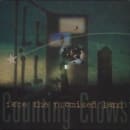 Face The Promised Land Cover