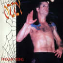 Phoenix Rising Cover