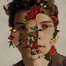 Shawn Mendes Cover