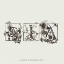 Colour the Small One Cover
