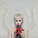 Ten$ion Cover