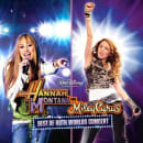 Best Of Both Worlds Concert Cover
