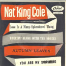 Nat King Cole Cover