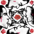 Blood Sugar Sex Magik Cover