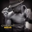 Greatest Hits Cover
