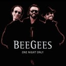 One Night Only Cover