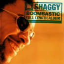 Boombastic Cover