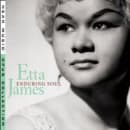 Enduring Soul Cover