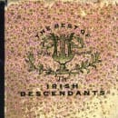 The Best of the Irish Descendants Cover