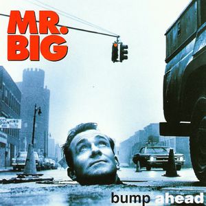 Bump Ahead Cover