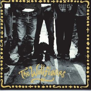 The Wallflowers Cover