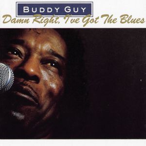 Damn Right, I've Got The Blues Cover
