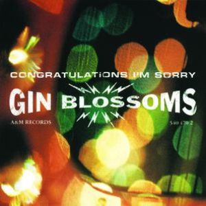 Congratulations I'm Sorry Cover