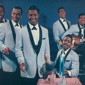 The Flamingos Cover